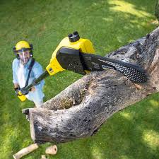 Best Lawn Mowing  in Grove Hill, AL